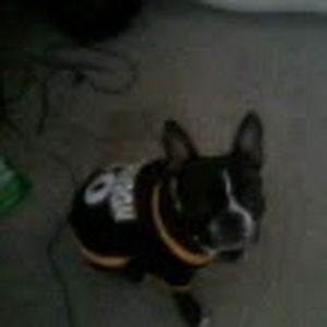 Meet your Posher, Corey